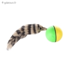 Balle &agrave; Furet