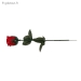 Rose LED Changeant Couleur - Vue 2