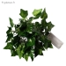 Guirlande Lumineuse Feuille de Lierre 2m - Vue 2