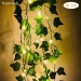 Guirlande Lumineuse Feuille de Lierre 2m - Vue 3