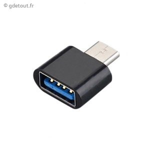 2 Convertisseurs OTG males-femelles de Type C à USB