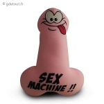 Petit coussin p&eacute;nis