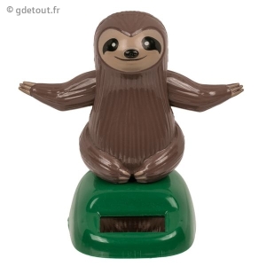 Paresseux Danseur Solaire