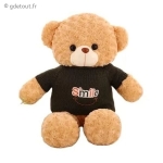 Ours en peluche camera espion WIFI HD 1080P detection mouvement