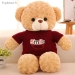 Ours en peluche camera espion WIFI HD 1080P detection mouvement - Vue 4