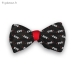 Noeud Papillon EVG - Vue 2