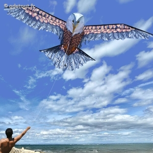 Cerf-Volant 3D Aigle Majestueux 186 cm