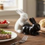 Poivri&egrave;re et Sali&egrave;re Lapins Coquins